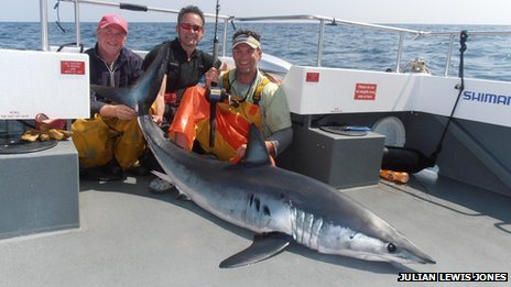 Mako Shark caught.jpg